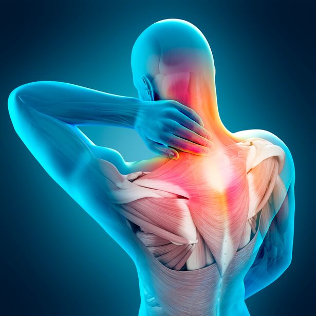 Clinical treatment for muscle and joint discomfort